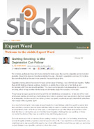 StikK - Expert World